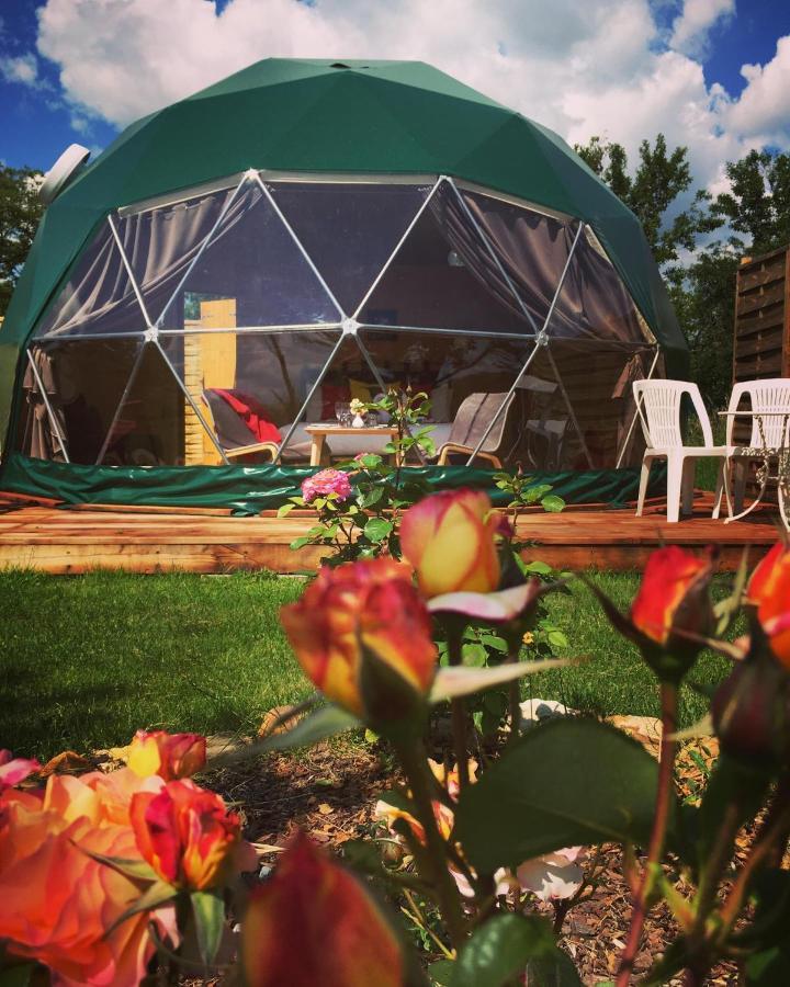 Tui's Nest Glamping Hébergements insolites Faverolles  Esterno foto